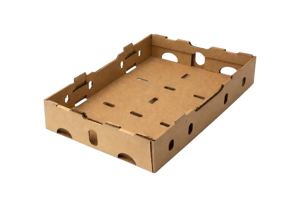 Empaques diseñados para exportación de frutas y verduras.